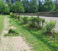 jízdárna
