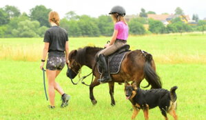 🎄 Udělejte radost na Vánoce - máme dárkové poukazy!