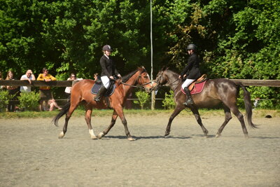 Drezurní ukázky v Jezdeckém klubu Počin